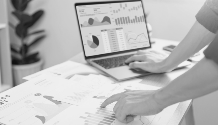 PSA Consultants analyzing micro and macro factors for tailored business solutions